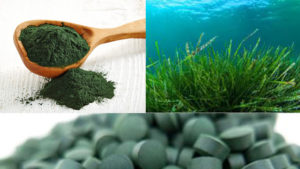 benefici spirulina