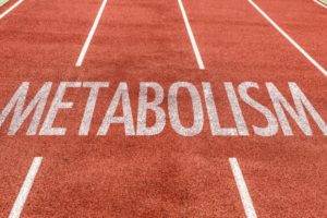 metabolismo basale