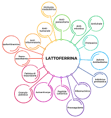 lattoferrina integratore