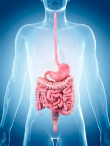 intestino irritabile